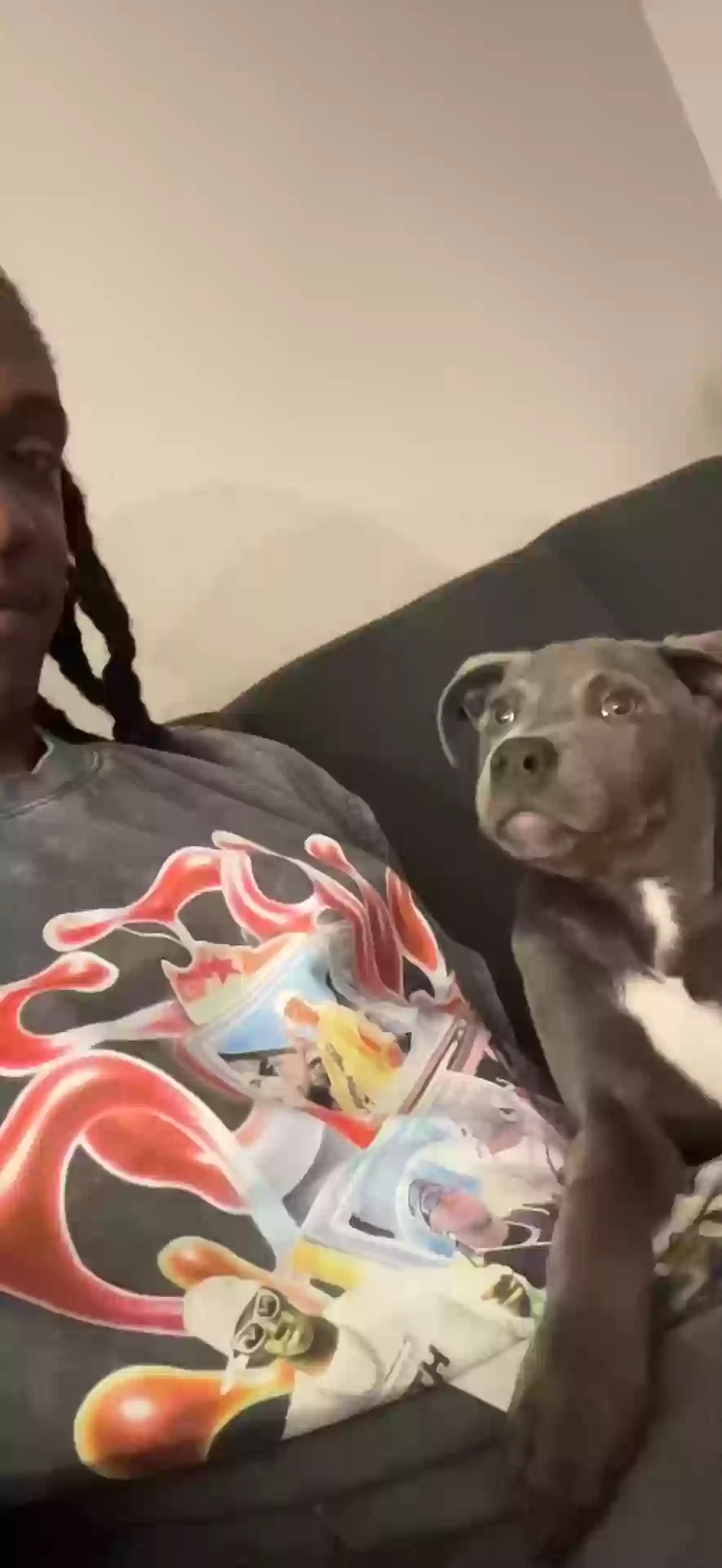 adoptable Dog in Atlanta,GA named Dino