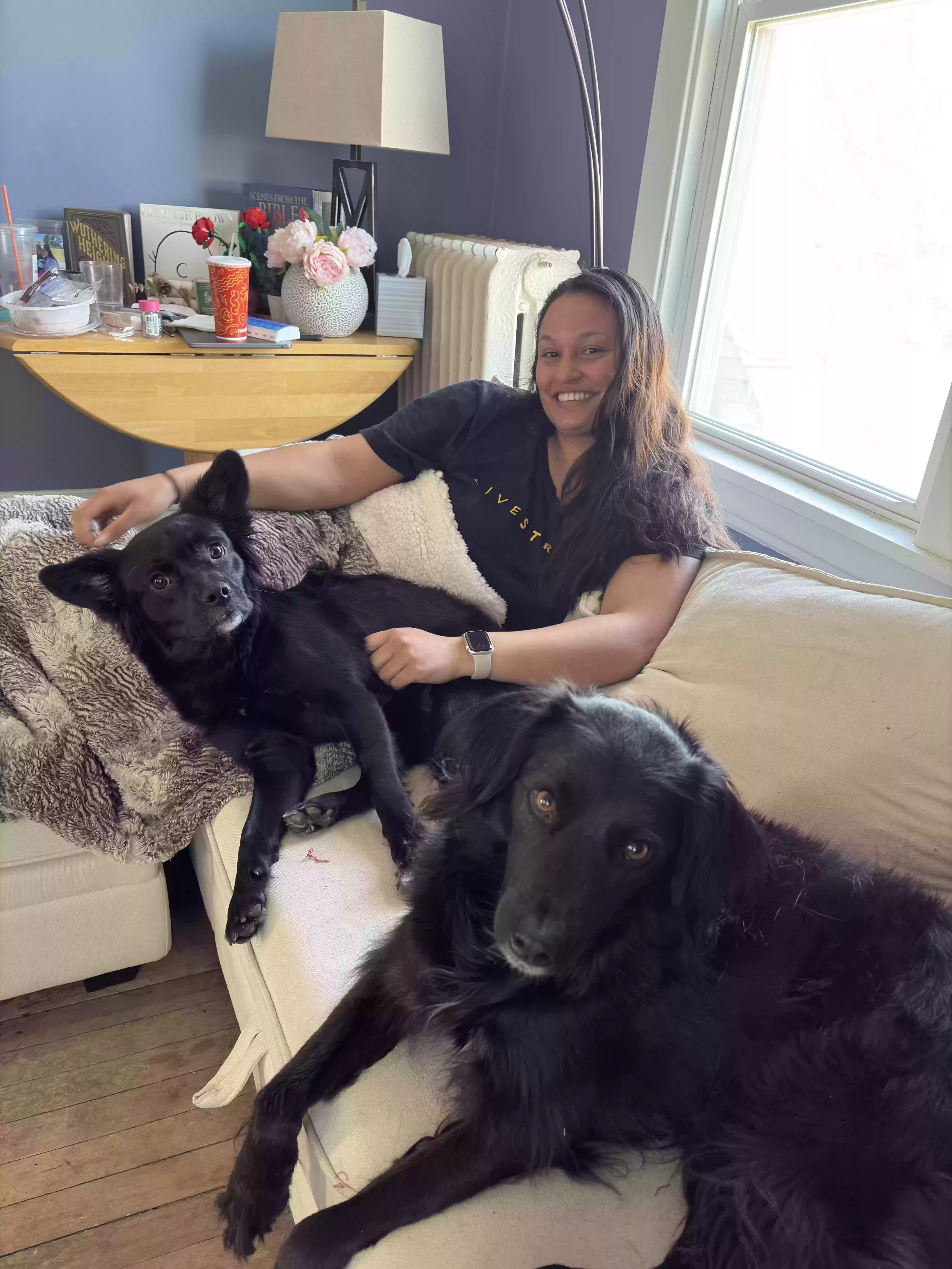 adoptable Dog in Saint Paul,MN named Tina