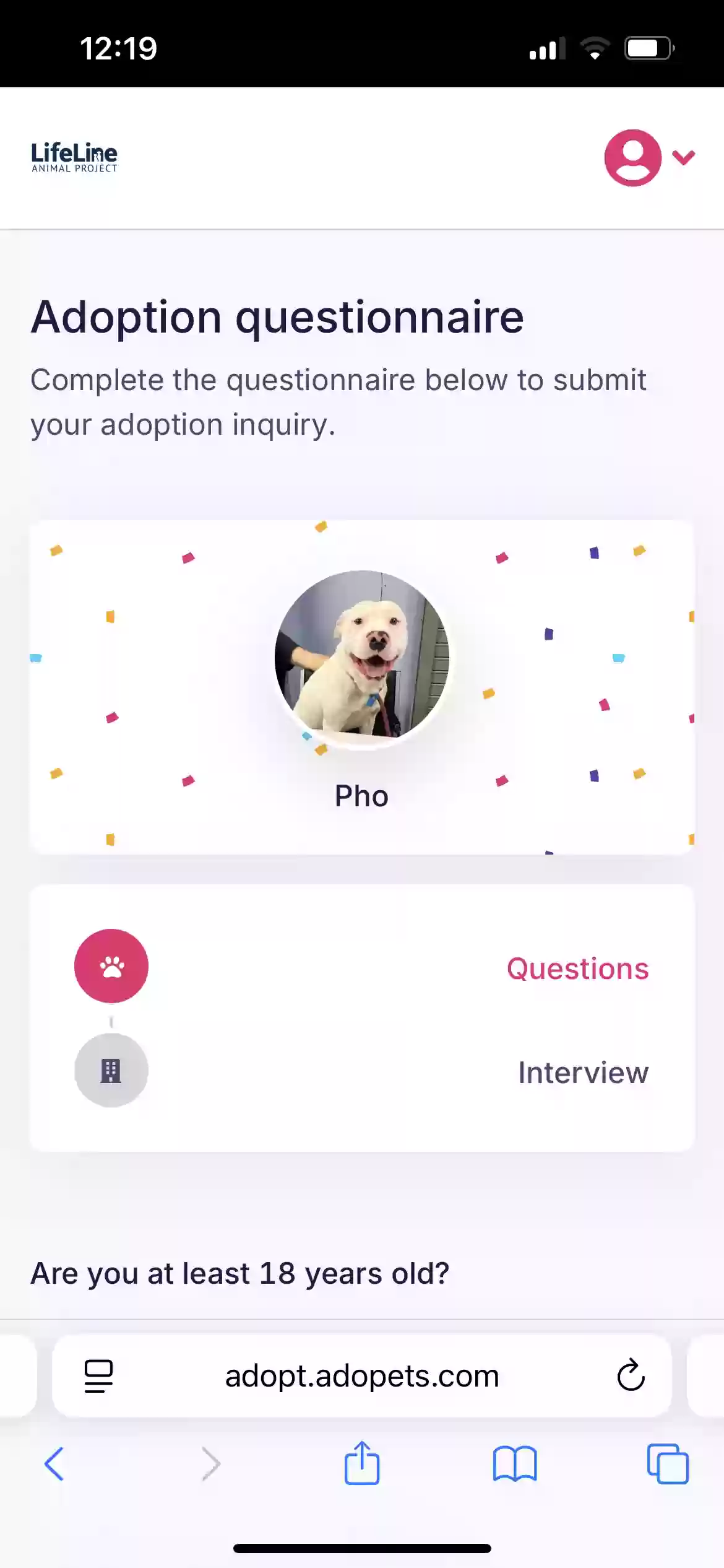 adoptable Dog in Roswell,GA named Pho