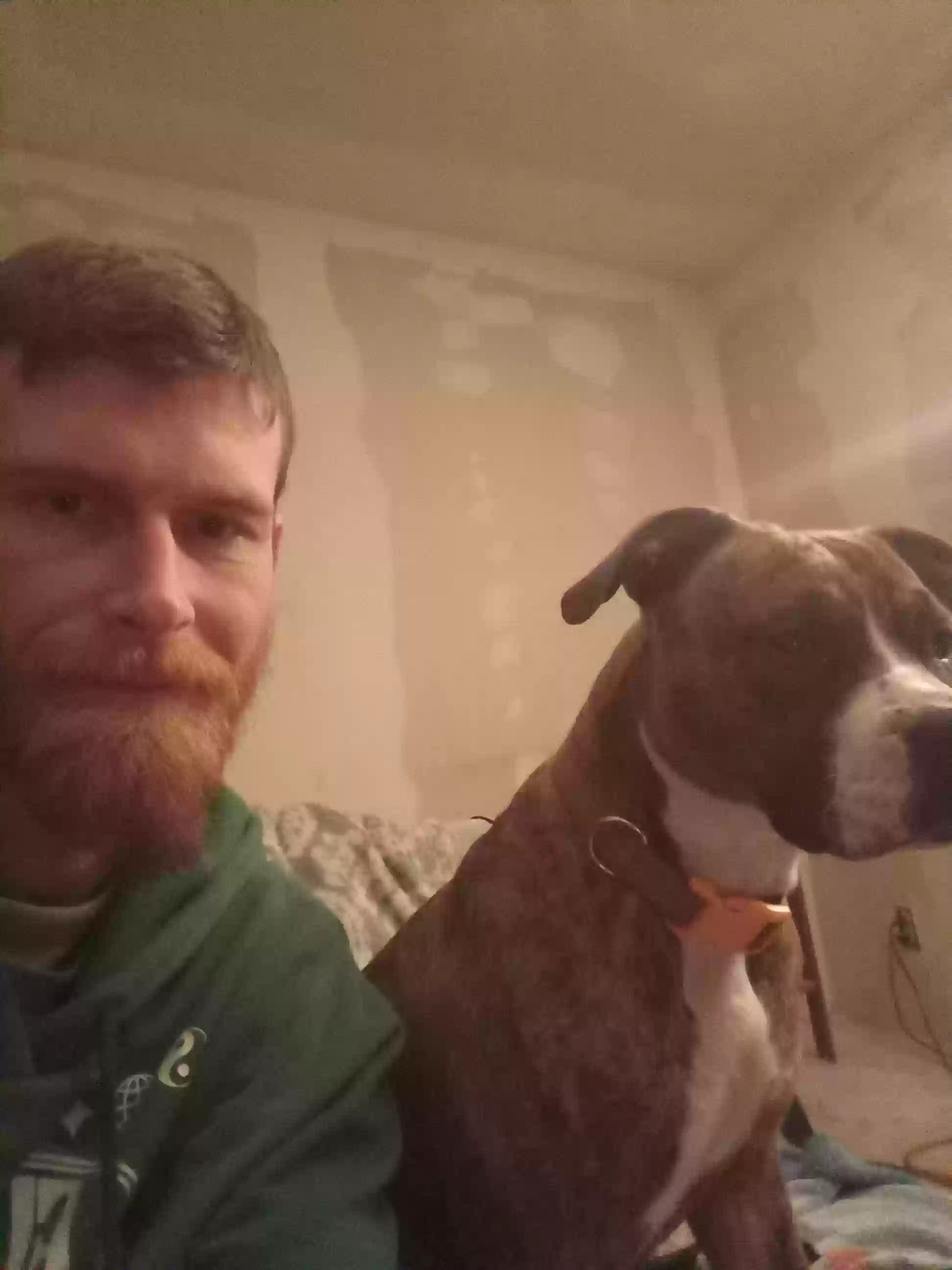 adoptable Dog in Ottawa,IL named Chloe