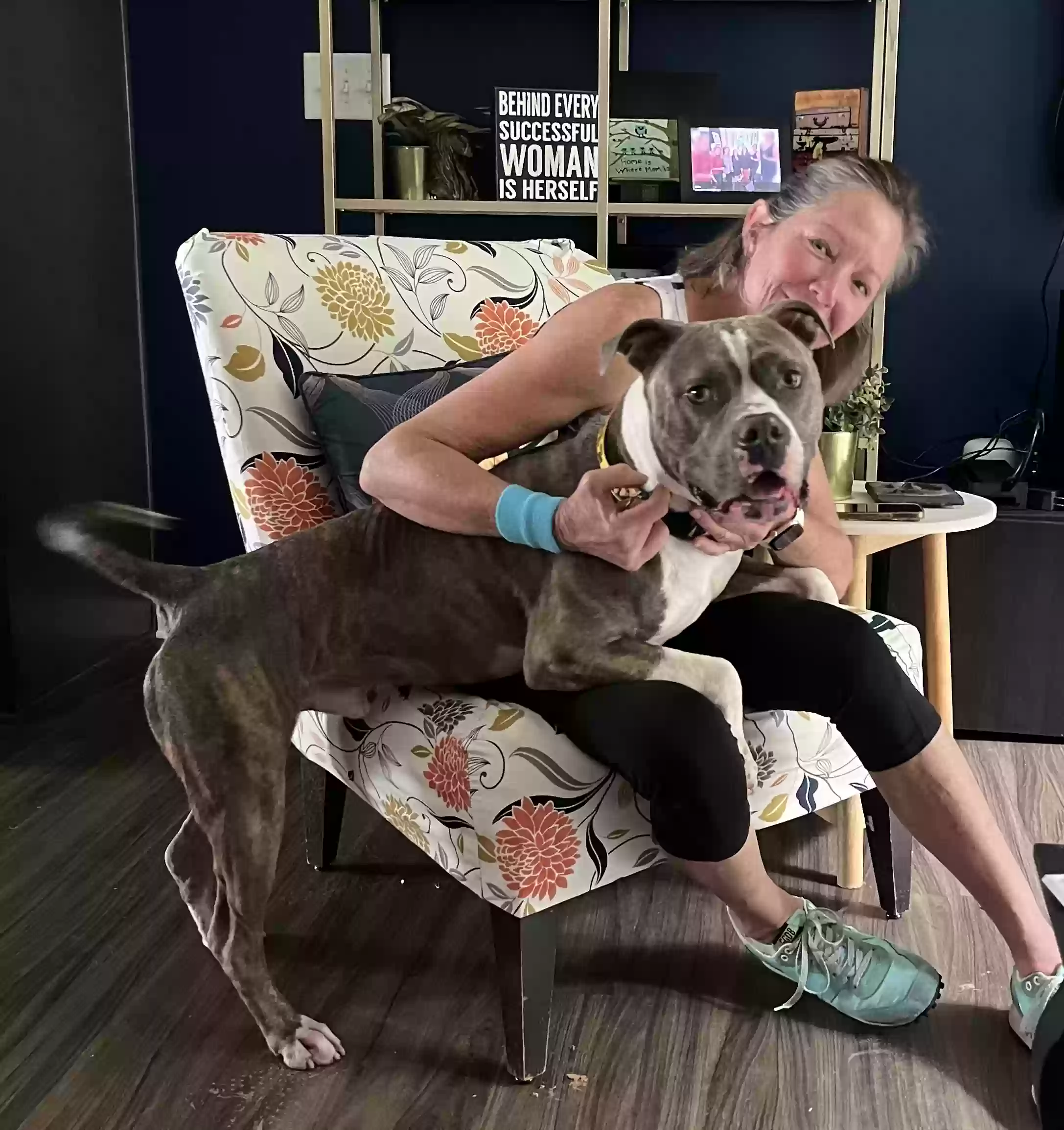 adoptable Dog in Atlanta,GA named