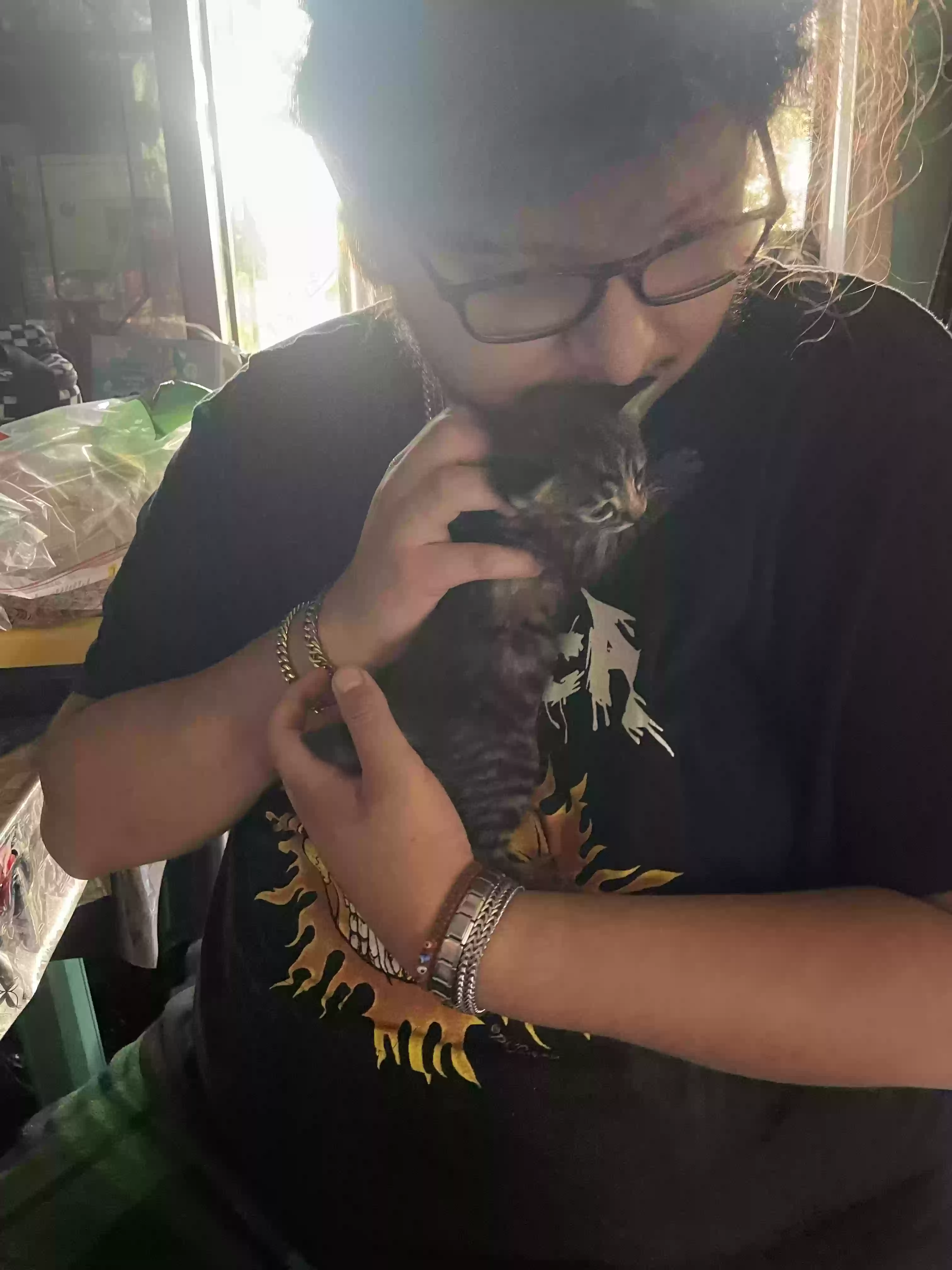 adoptable Cat in Santa Ana,CA named Mrs tabby