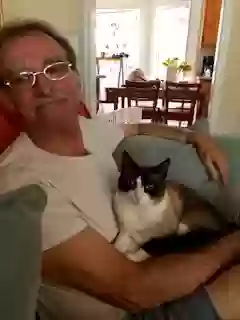 adoptable Cat in Dallas,GA named Jorah