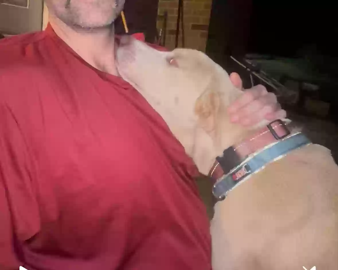 adoptable Dog in Snellville,GA named
