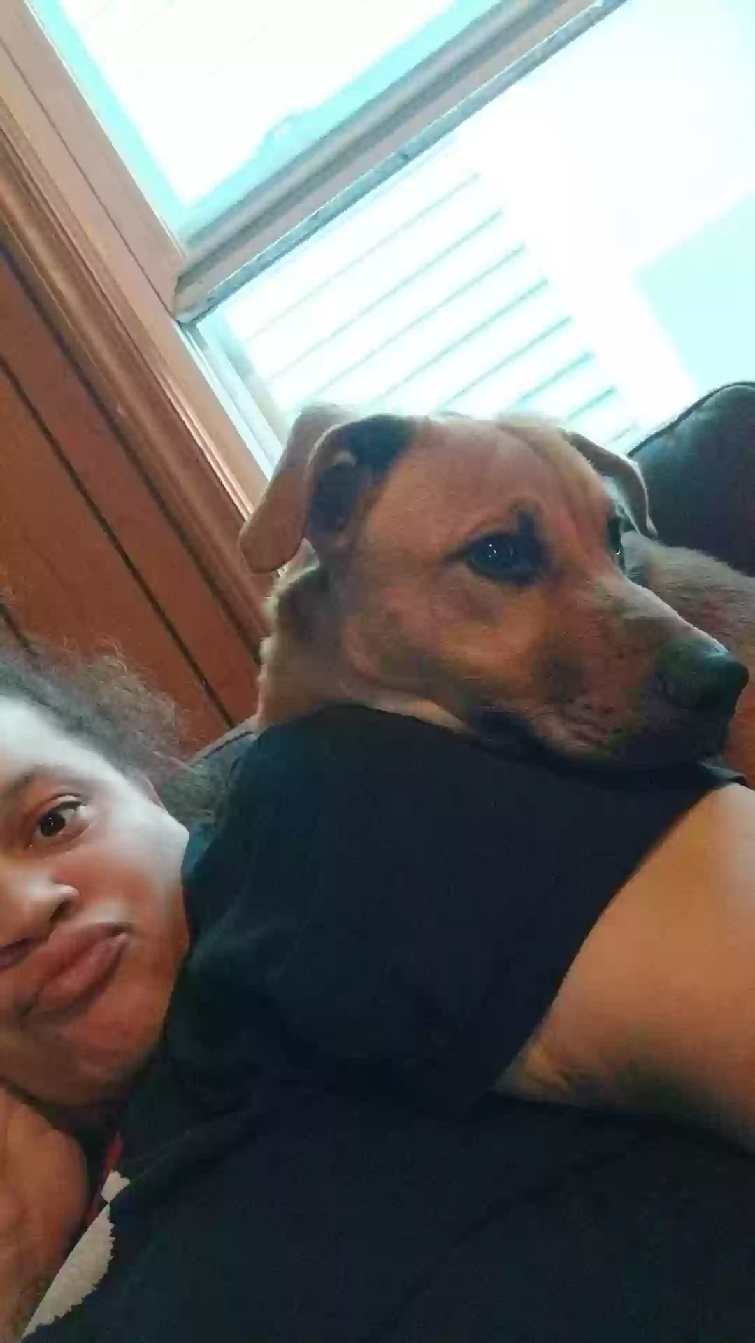 adoptable Dog in River Rouge,MI named Terp