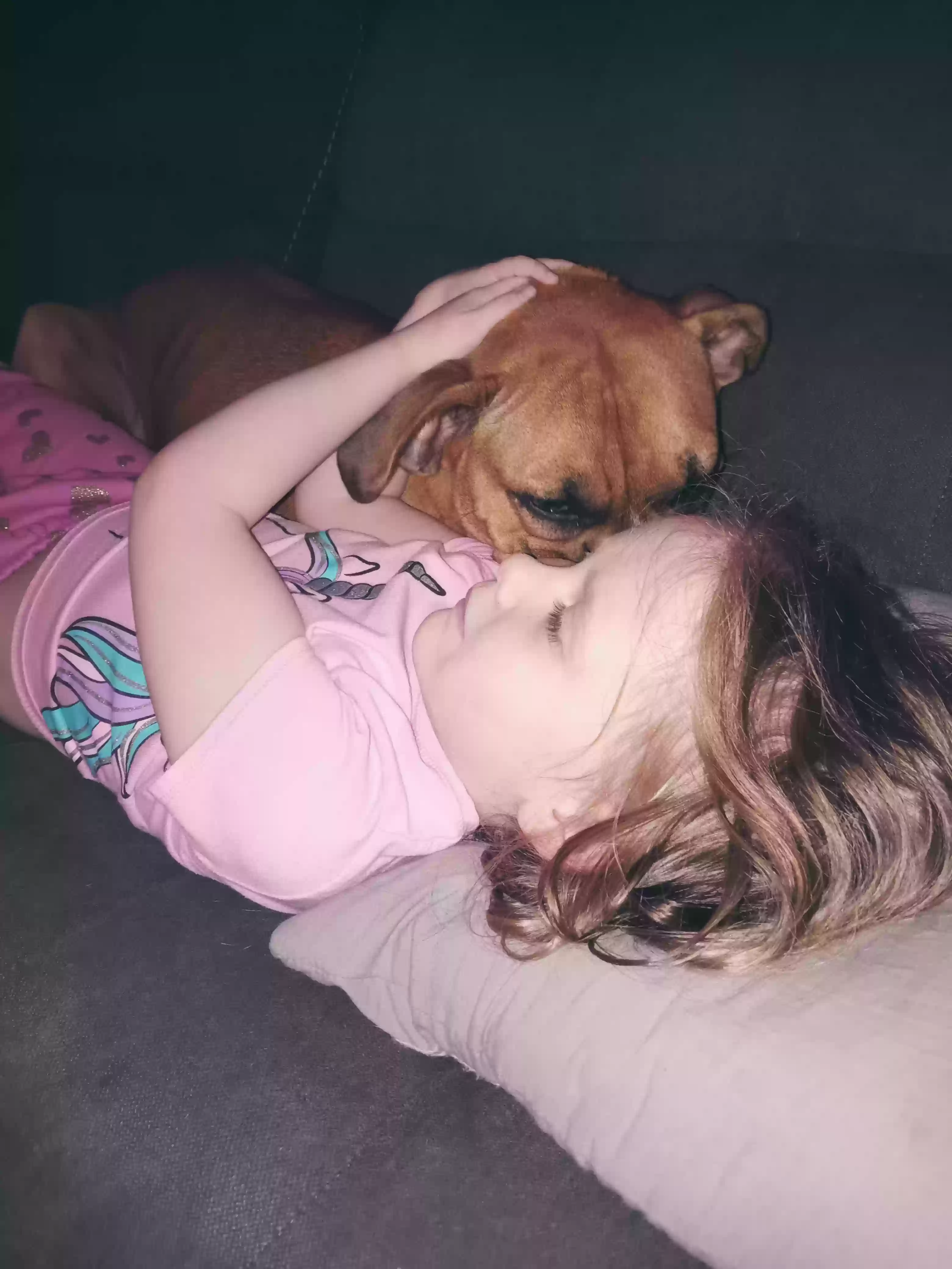 adoptable Dog in Lexington,KY named Bella
