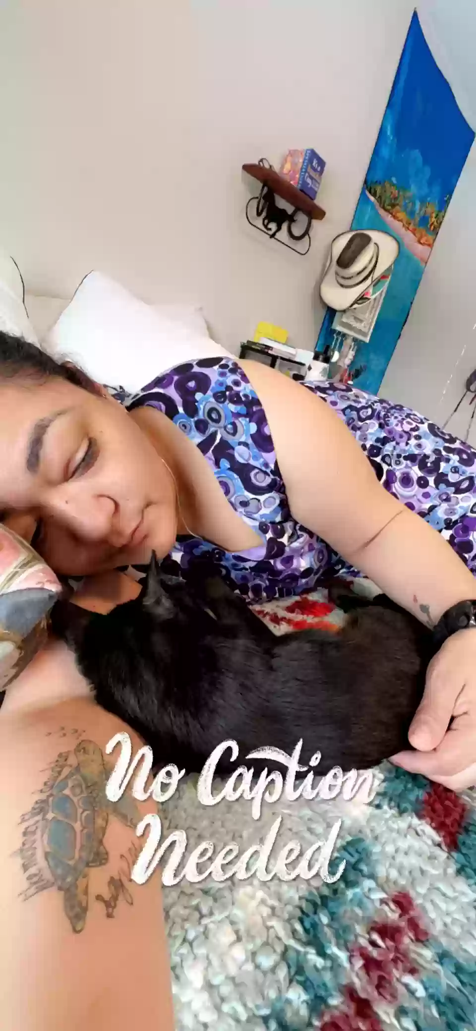 adoptable Cat in Des Moines,IA named Pepper