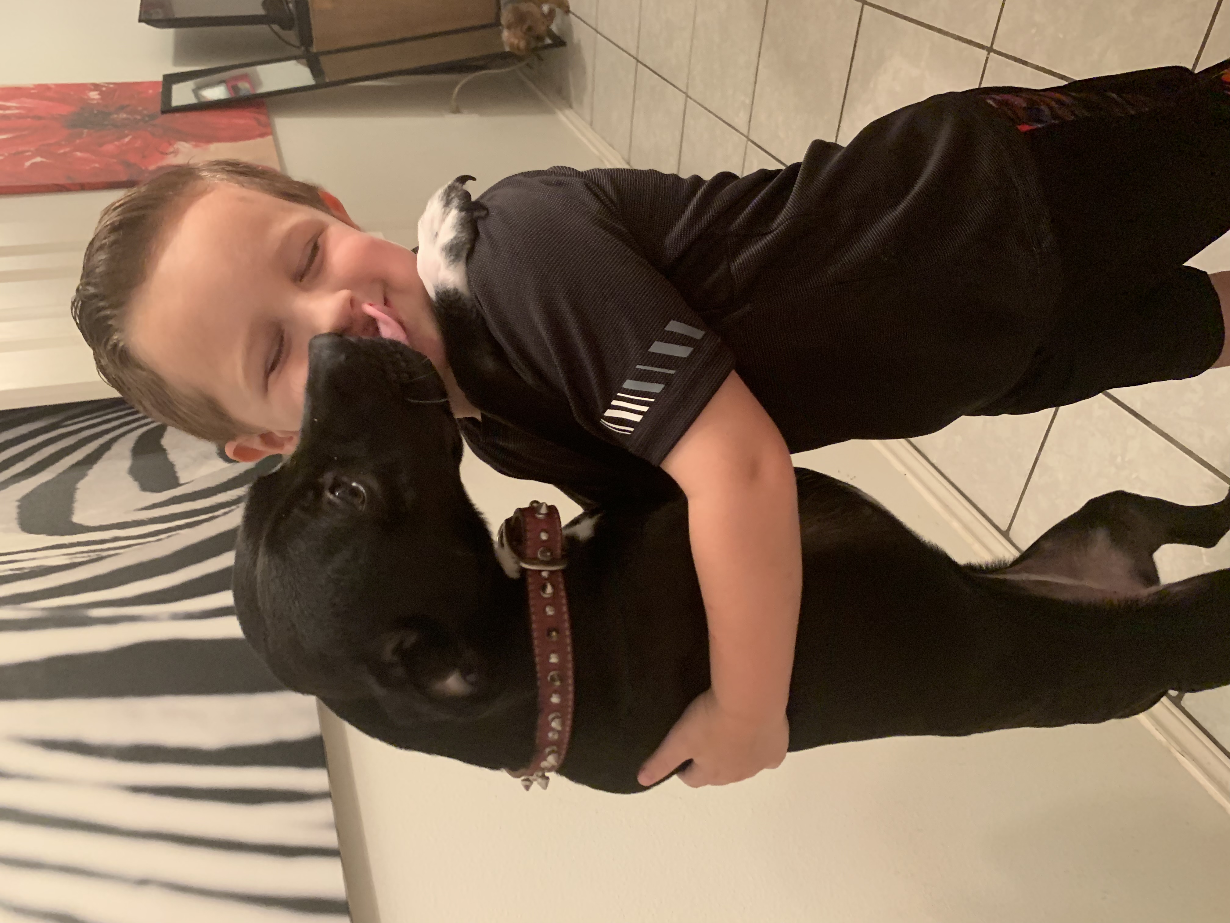 adoptable Dog in Edinburg,TX named Harley