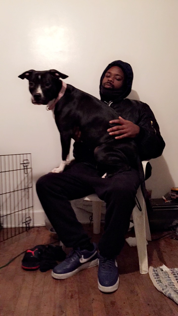 adoptable Dog in Detroit,MI named Nala
