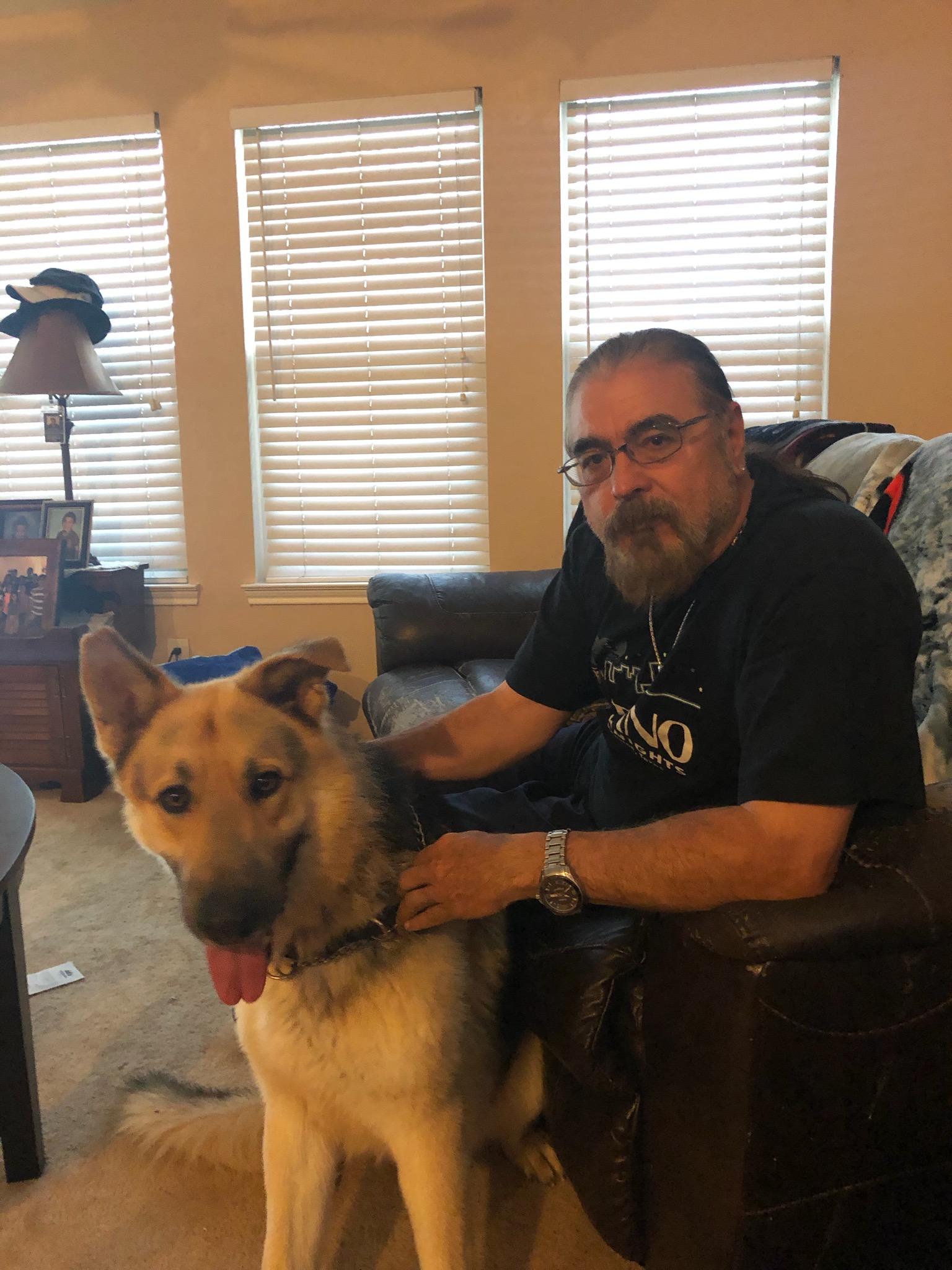 adoptable Dog in Spring,TX named Joe 