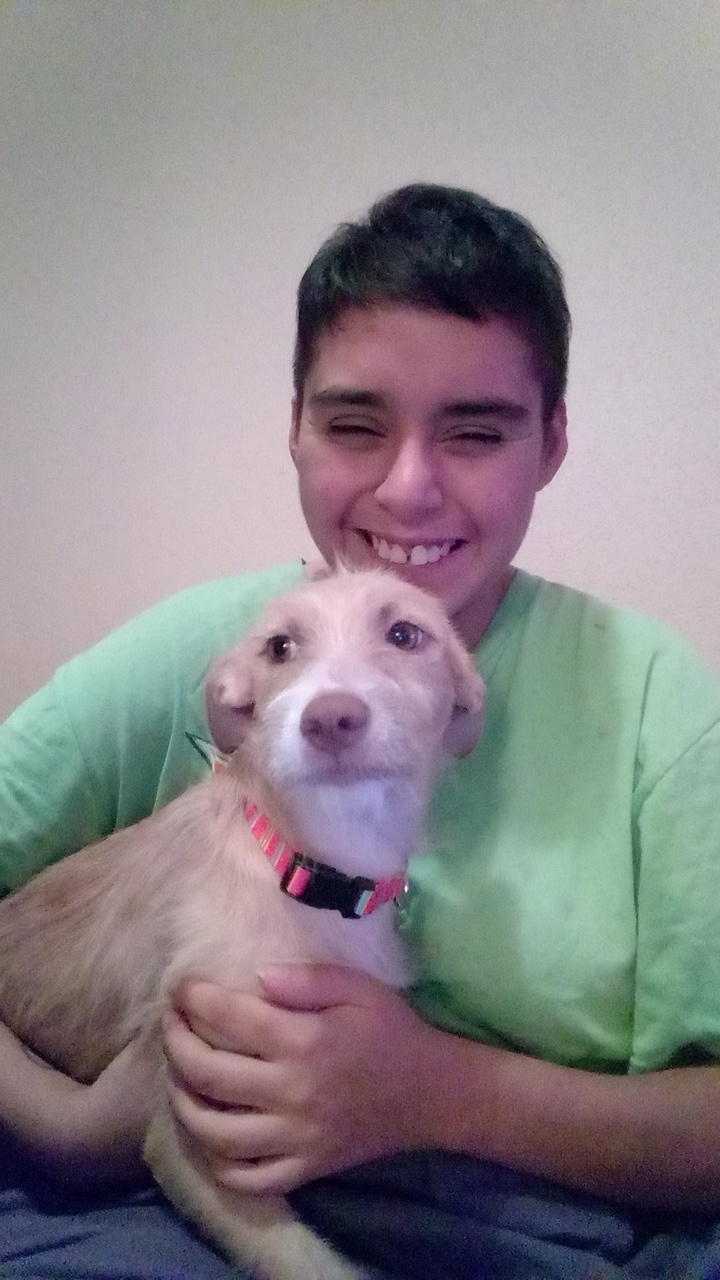 adoptable Dog in Houston,TX named Hazel