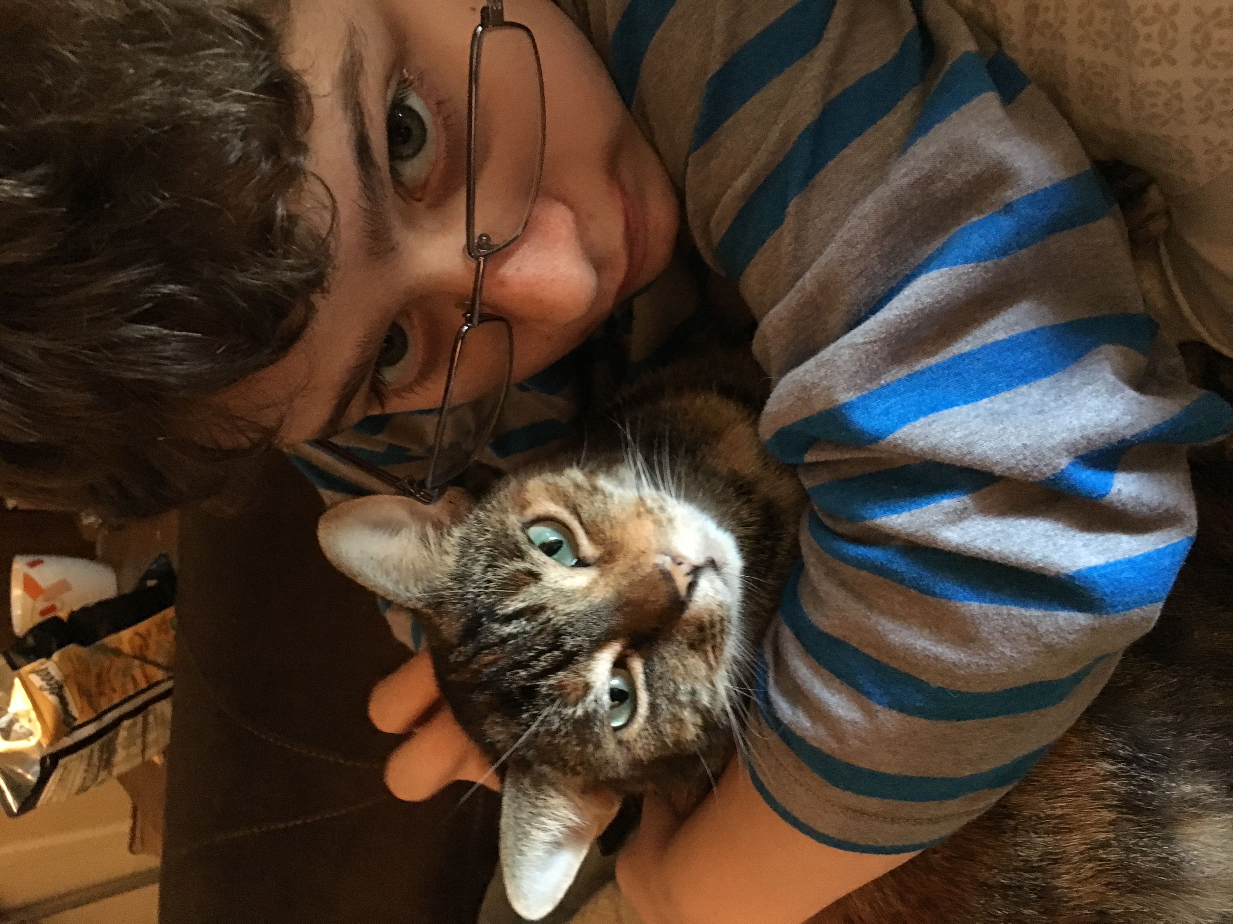 Heartwarming Christmas Story: Bambi The Cat'S Tiktok - vnxn6ml