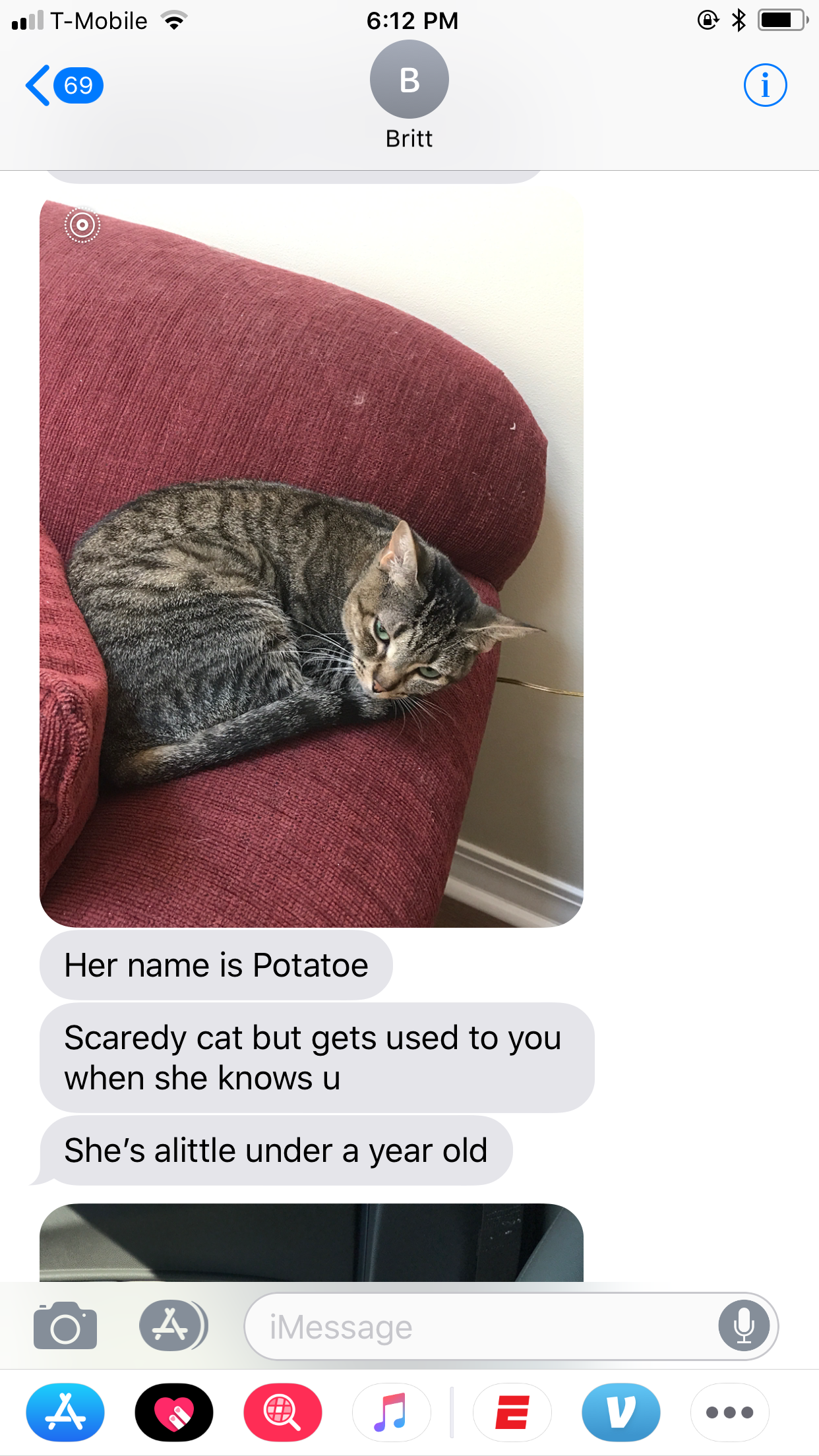 adoptable Cat in Neptune Beach,FL named Potatoe