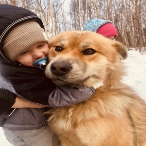 adoptable Dog in Wasilla, AK named Tyzik