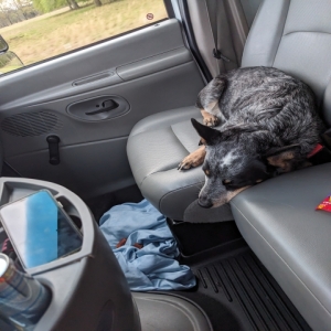 /images/pets/original/2105493_80425_PXL_20230318_121711082.webp
