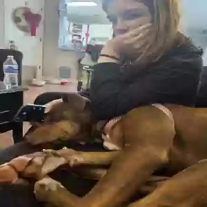 adoptable Dog in Suwanee, GA named Roxie