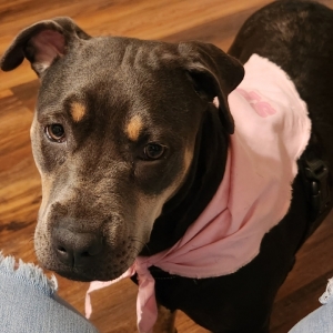 /images/pets/original/2144481_52123_20240704_170335.webp