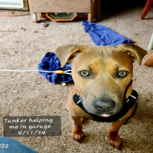 /images/pets/original/2144495_92583_20240411_180119.webp