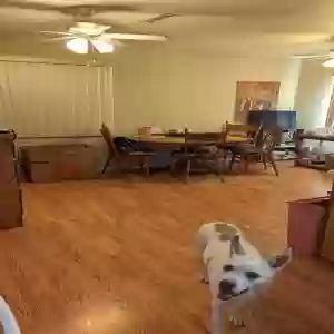 adoptable Dog in Prescott Valley, AZ named Chilla