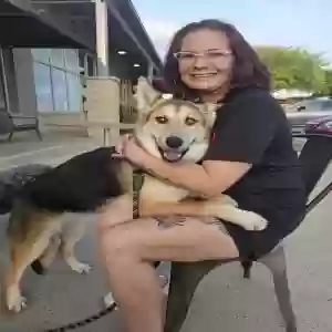 adoptable Dog in Melissa, TX named Meika
