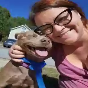adoptable Dog in Douglasville, GA named Sugar