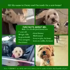 /images/pets/original/2180975_actual_two.webp