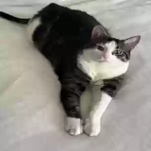 /images/pets/original/2181208_actual_two.webp