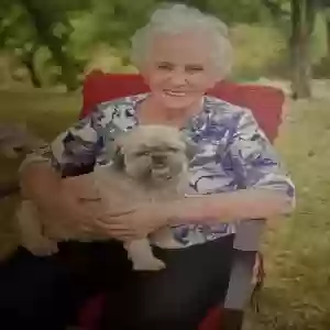 adoptable Dog in Canyon Lake, TX named Punkin