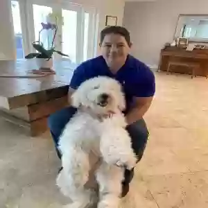 adoptable Dog in Miami, FL named Rosie