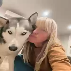 adoptable Dog in Santa Cruz, CA named Nala