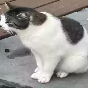 /images/pets/original/2182529_actual_two.webp