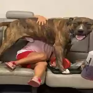 /images/pets/original/2182874_actual_three.webp