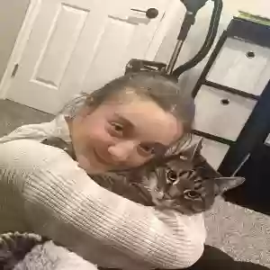 adoptable Cat in Colorado Springs, CO named Simba