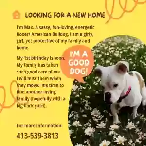 /images/pets/original/2183010_actual_three.webp
