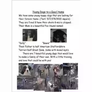 /images/pets/original/2183493_36015_FB_IMG_1749766128421.jpg