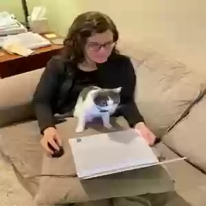 adoptable Cat in Atlanta, GA named Oreo