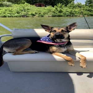 /images/pets/original/2183721_56153_IMG_0022.webp
