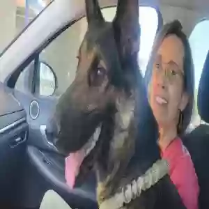 /images/pets/original/2183768_88331_IMG_20250617_115351.webp