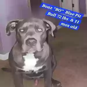 /images/pets/original/2183834_actual_two.webp