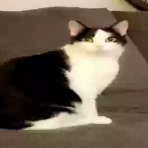 /images/pets/original/2183870_22434_IMG_8015.webp