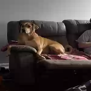 /images/pets/original/2184337_actual_three.webp