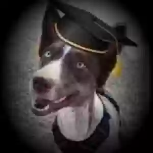 /images/pets/original/2184418_actual_three.webp
