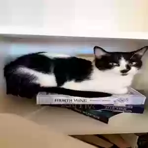 /images/pets/original/2184861_actual_two.webp