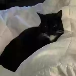 /images/pets/original/2184985_90283_FullSizeRender.webp