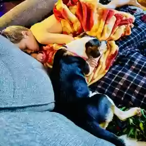 adoptable Dog in Perry, GA named Rosie