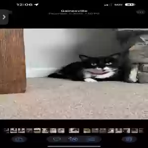 /images/pets/original/2185884_actual_two.webp
