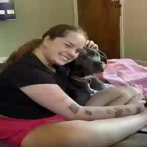 adoptable Dog in Grimes, IA named Kash