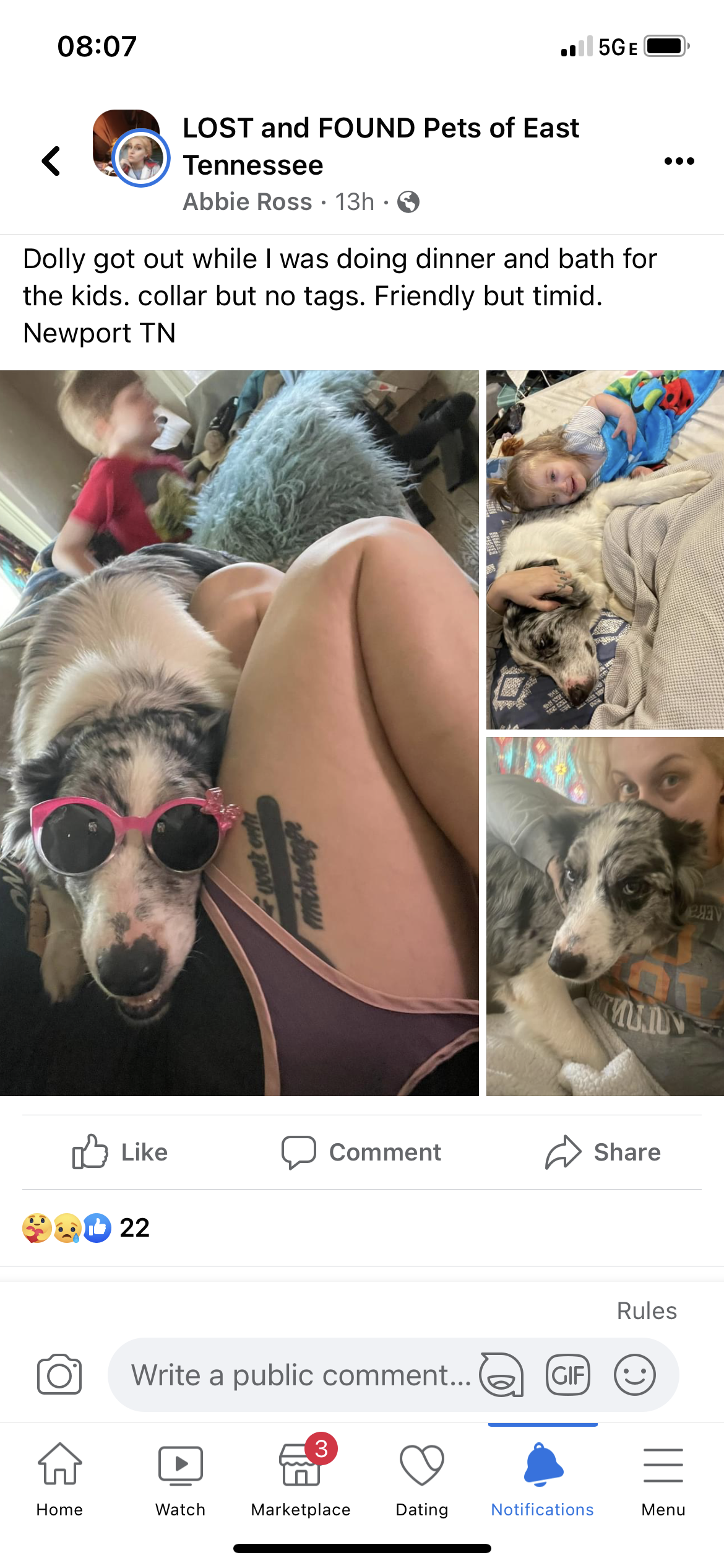 /lostandfound/images/lnfpets/original/157654_photo.png