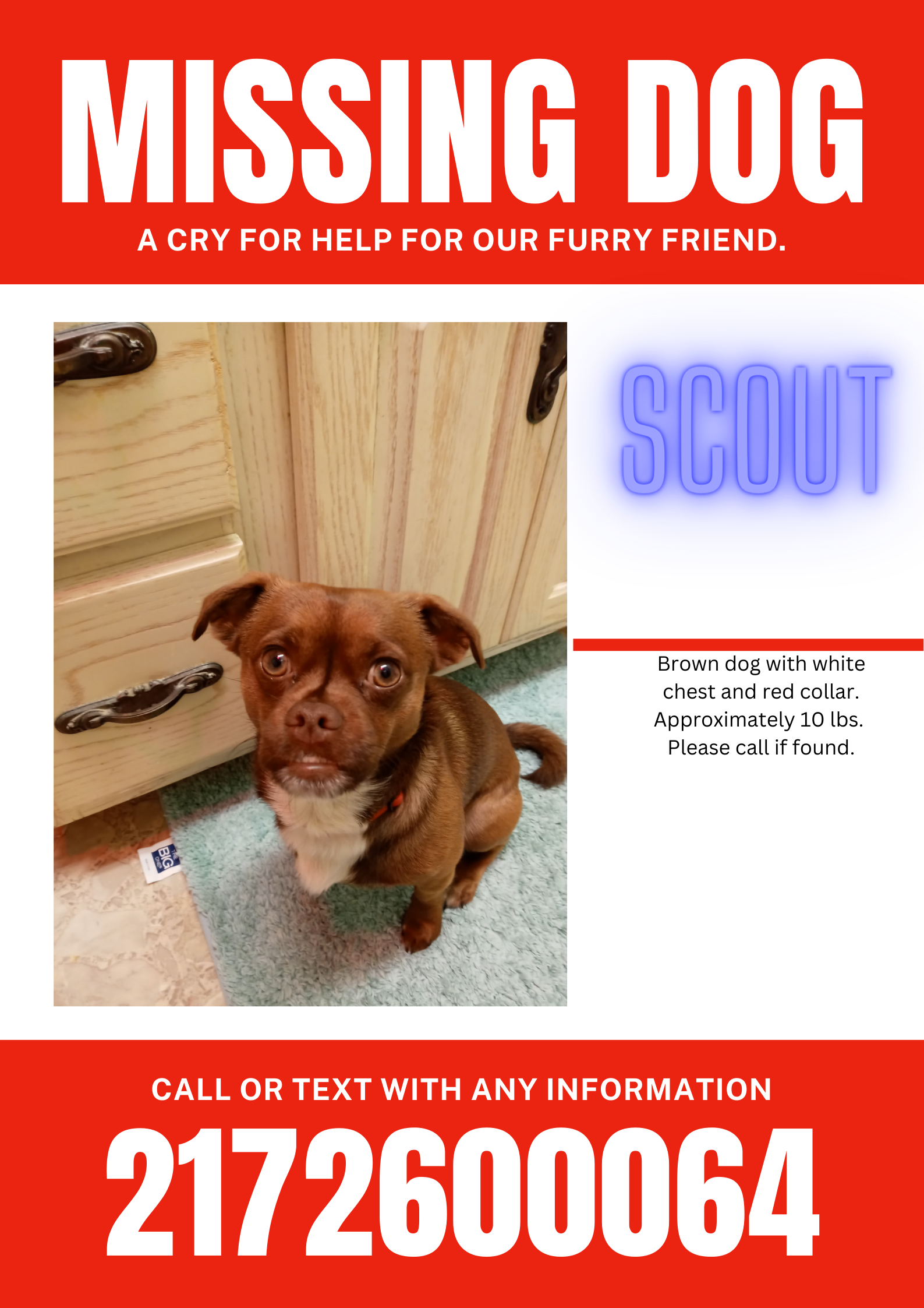 /lostandfound/images/lnfpets/original/157909_photo.png