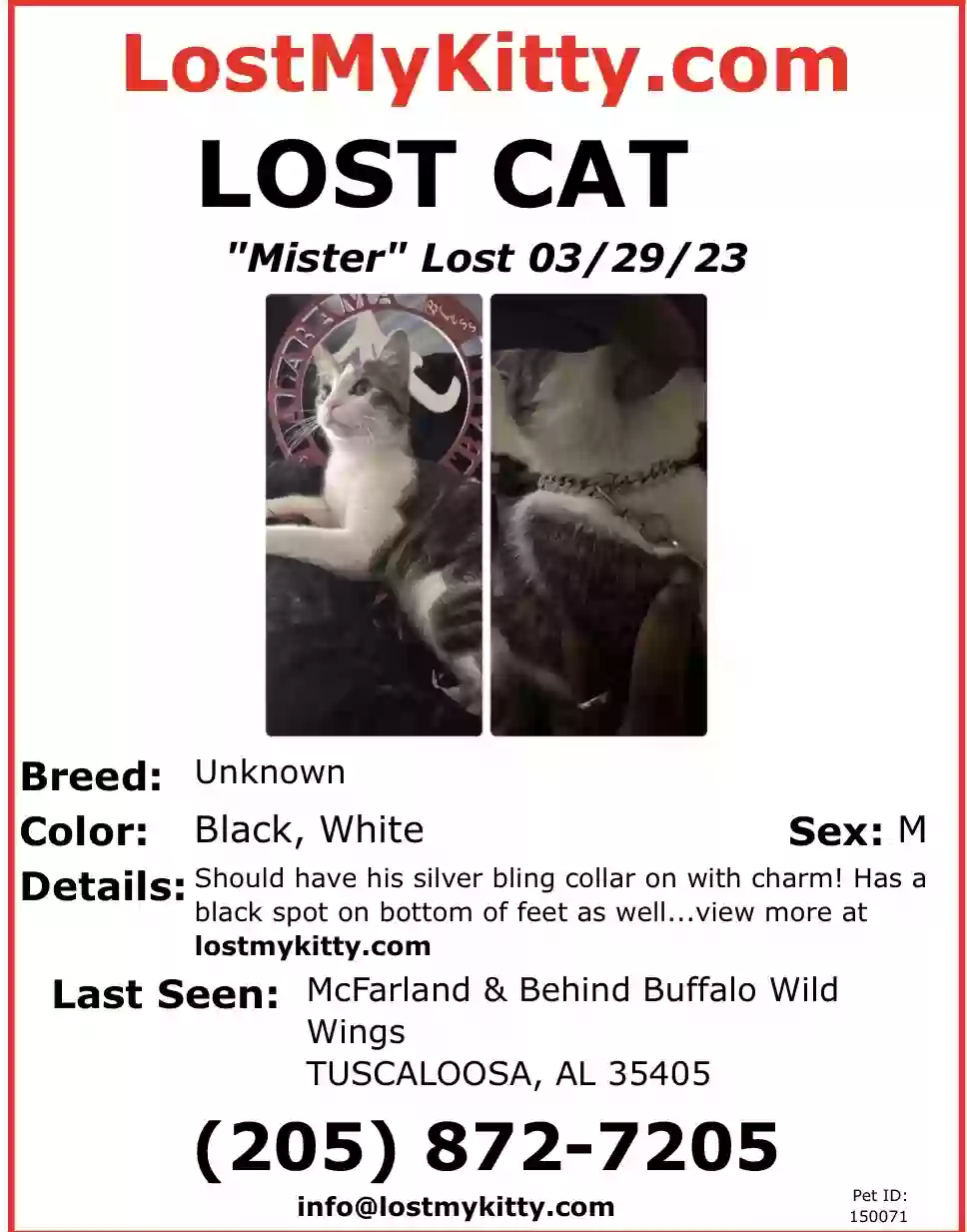 /lostandfound/images/lnfpets/original/158028_photo.webp